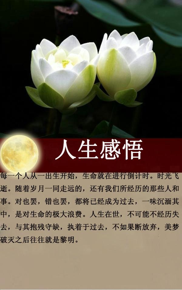 人生在世,不可能不经历失去,与其抱残守缺,执着于过去,不如果断放弃