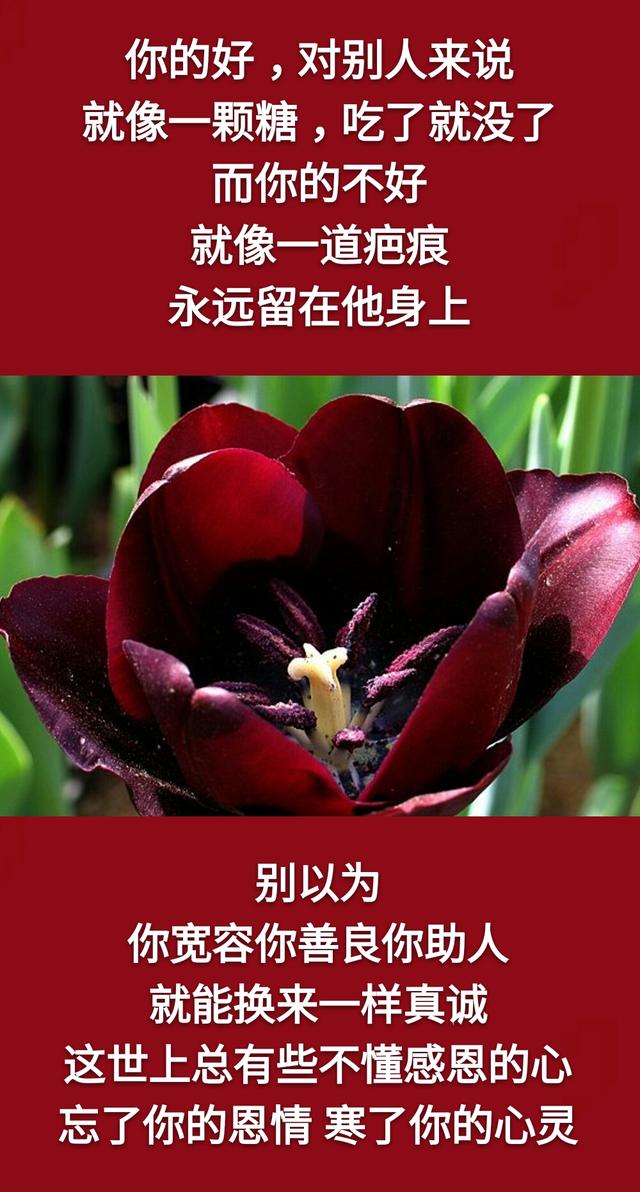 有时候,帮了别人,自己反受其害.