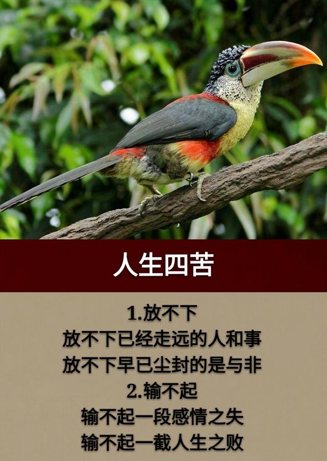 人生四苦四有四无四行四得四别四然值得收藏
