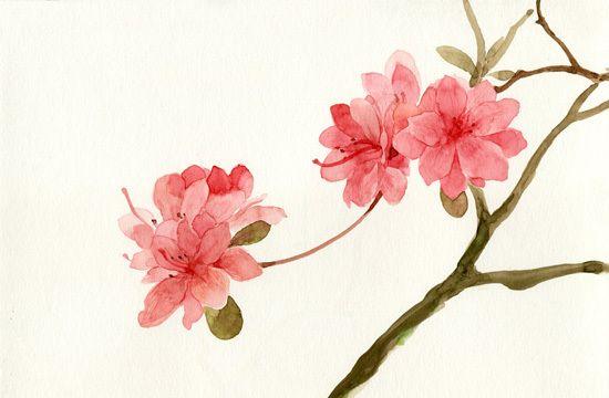 人生，人走茶凉，守心自暖