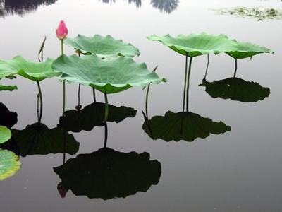 村上春树：我一直以为人是慢慢变老的