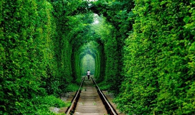 到了一定年龄，便要学会寡言，每一句话都要有用，有重量