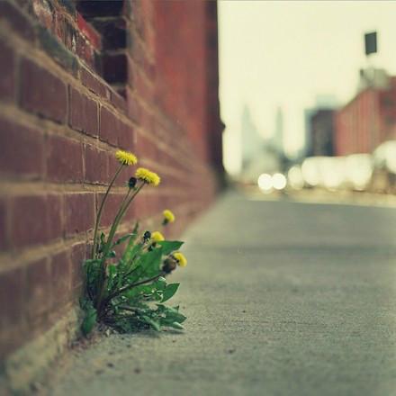 九句精选微信朋友圈语录