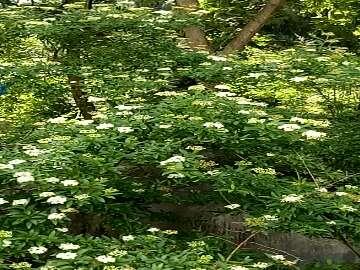 人生，要有一点哲学思想