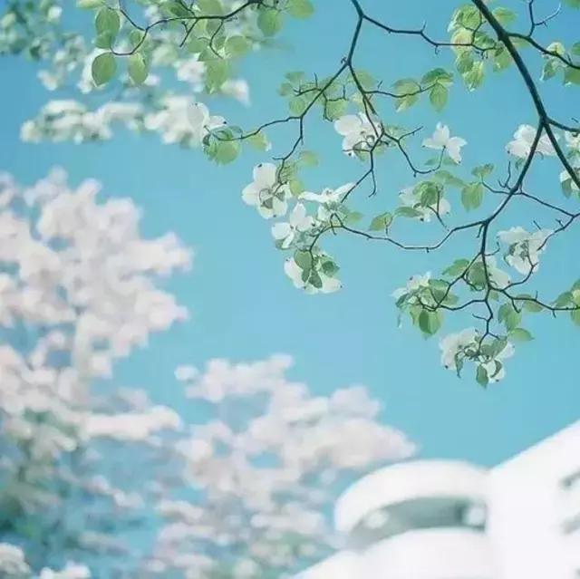 席慕蓉：生命里永远有一种等待