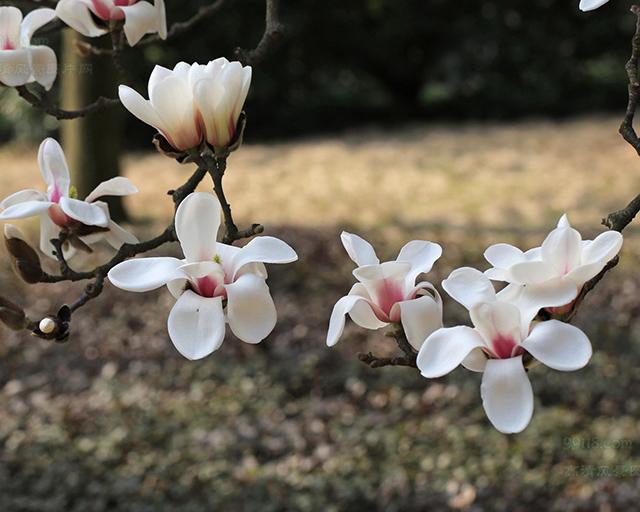 2017最适合发朋友圈的经典语录