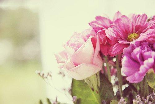 活在当下，且行且珍惜，美好的，留在心底；遗憾的，随风散去