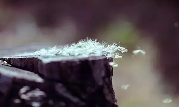 人啊,争什么争 人啊,争什么争