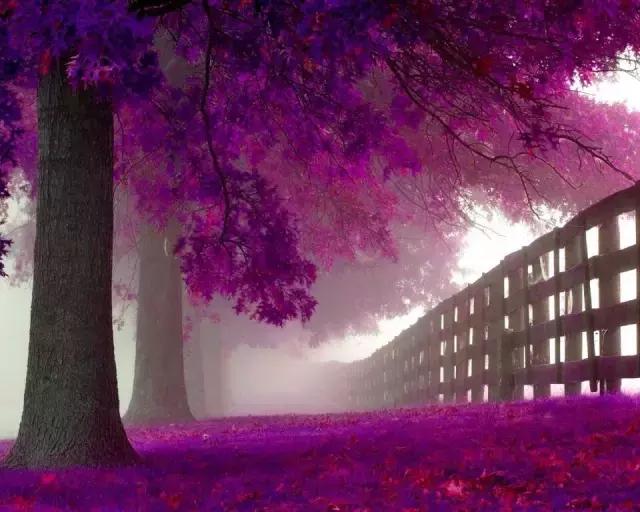 新的一年咋活，才能活好！（太经典了）