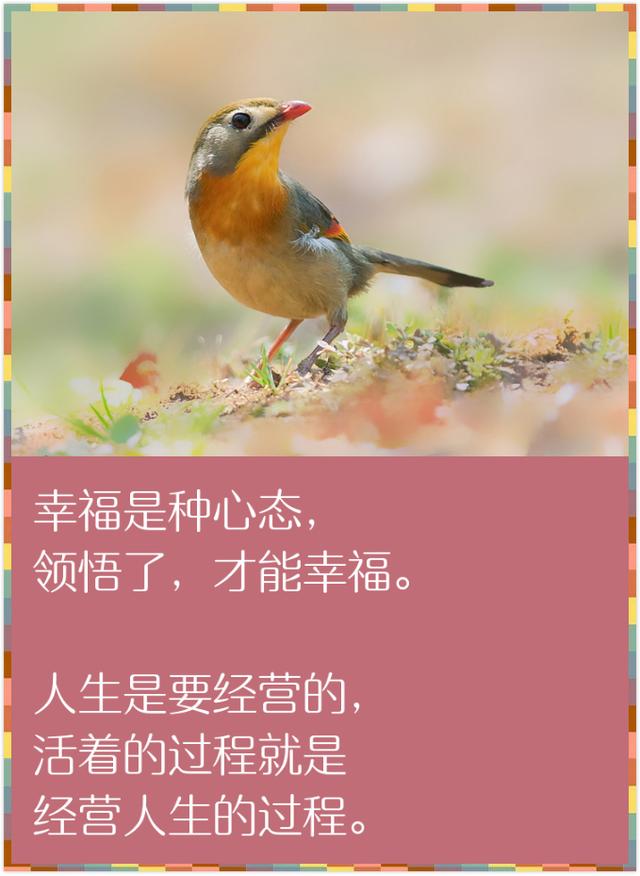 人生在世，除了生死，都是小事（精辟到骨子里）