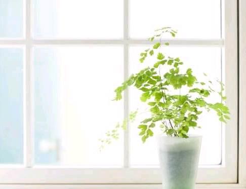 qq空间感悟人生的图片说说短语 qq空间感悟人生的图片说说短语