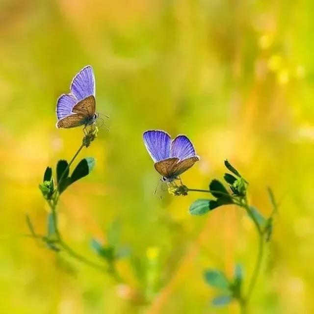 人生六不动 人生六不动