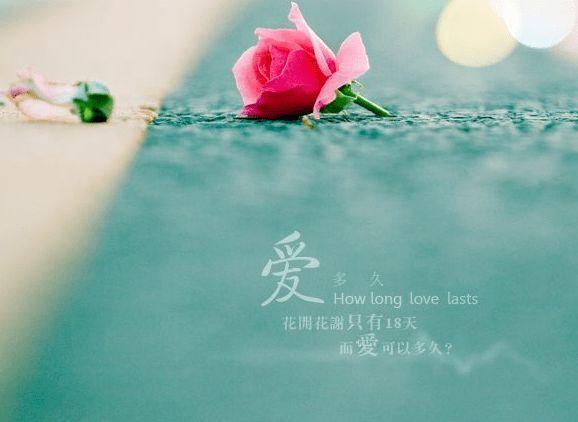朋友圈张小娴经典语录最新