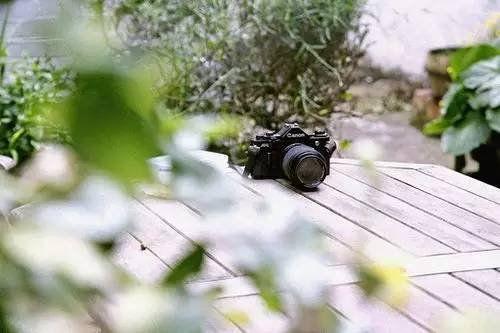 心情语录：为了等你，我错过了等我的人