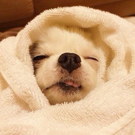 精选微信朋友圈语录 精选微信朋友圈语录