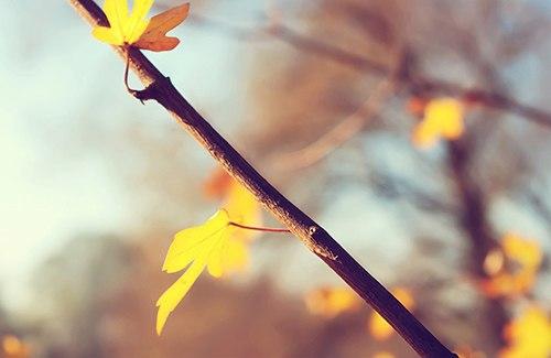 精辟的人生感悟哲理句子，句句让你大彻大悟