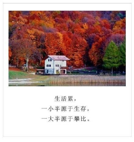 有哲理的名人句子