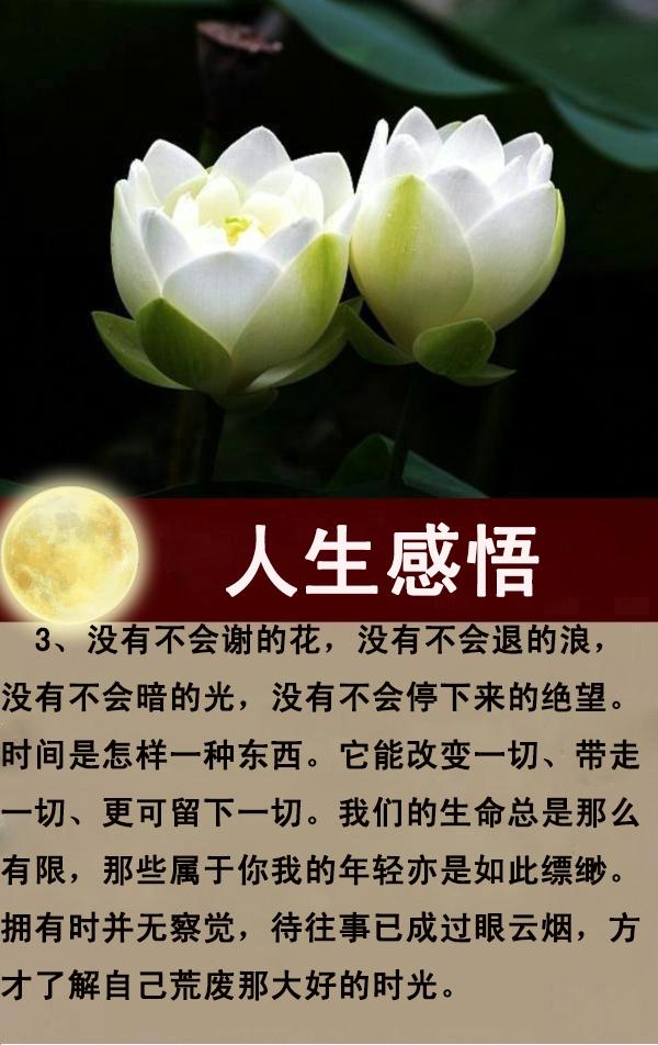 每天一点正能量，感悟生命，感谢生活