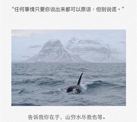 经典爱情语录：你在乎，山穷水尽我也等