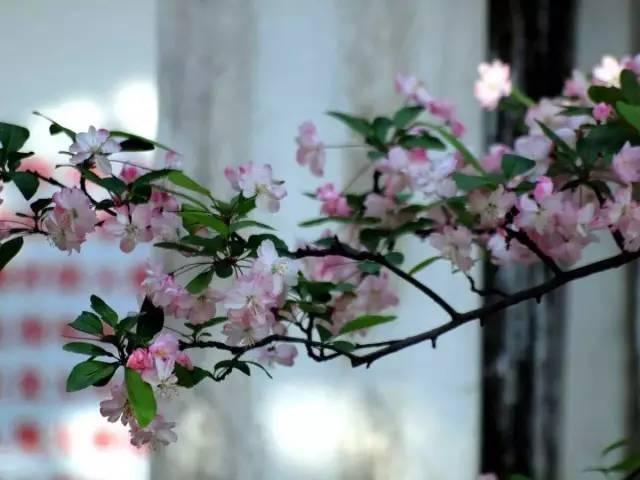 生命不是用来寻找答案的