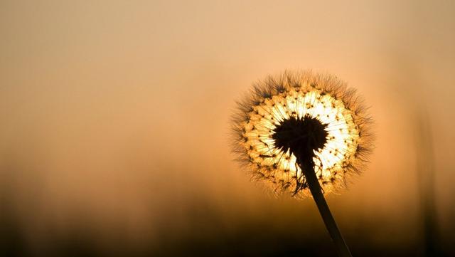 想让别人喜欢你,先要喜欢上对方 想让别人喜欢你,先要喜欢上对方