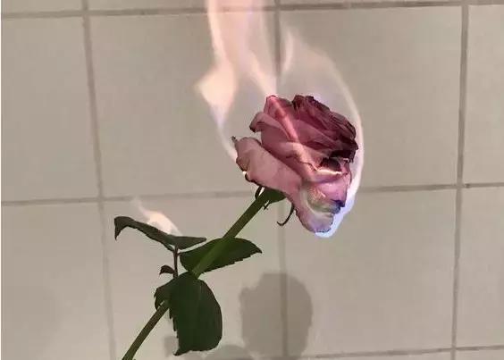 喊疼毫无疑义，唯有一往无前