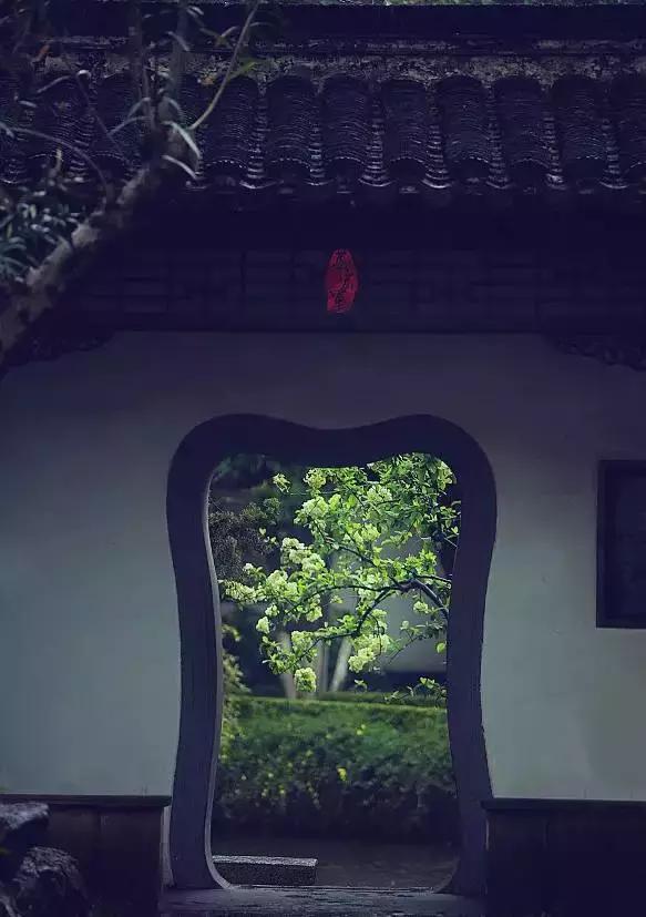 岁月温柔，生命厚重