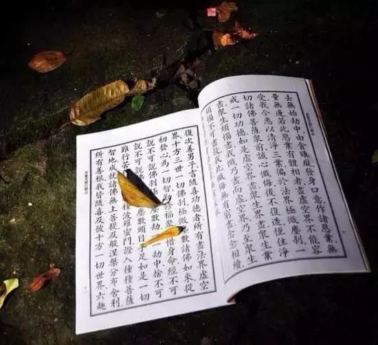 所有的遇见，都是一种必然