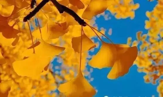 永远不要从别人嘴里去认识另一个人