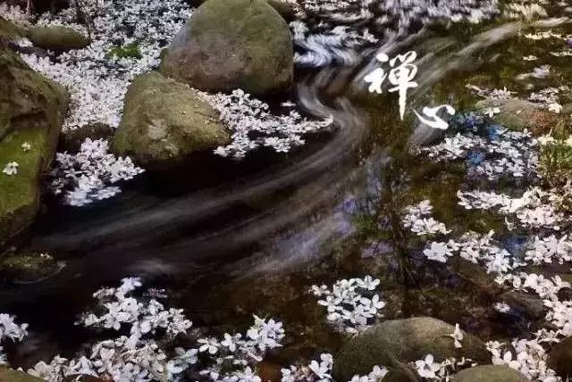 佛说：付出，不要后悔，失去，也不要遗憾