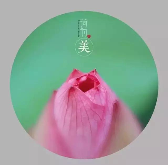 人生没有重来，生命无法倒带