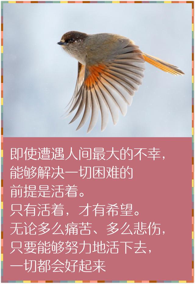 人生在世，除了生死，都是小事（精辟到骨子里）