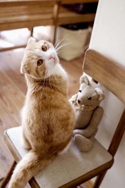 治愈系语录：别懂事太早，别涉世太深