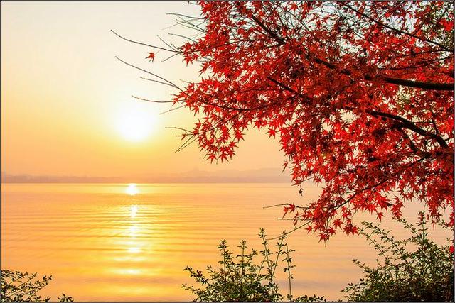 时光染红枫叶，独凭栏醉桥景