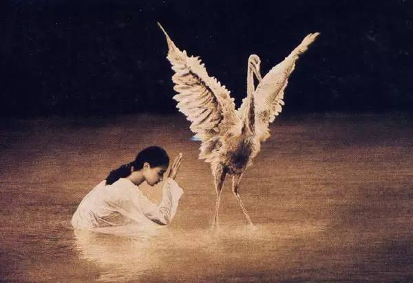 做人，我就这样