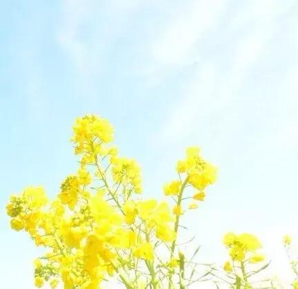 每一次不幸、每一次失败、每一次心痛都会孕育同样或更大的成功