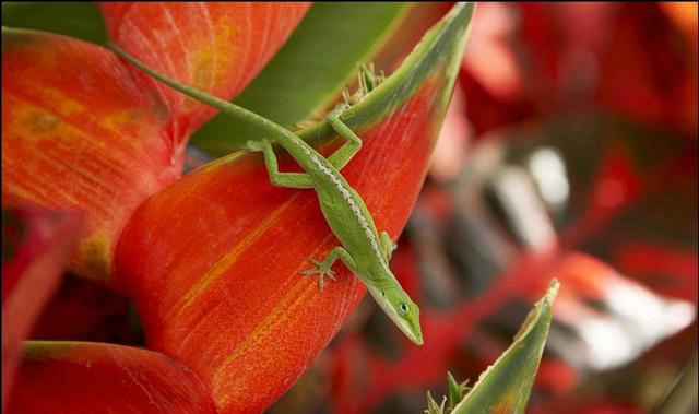 人在没钱时，才能看清人心