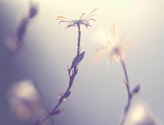 适合发说说的经典治愈系语录