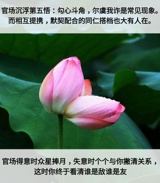 人生：7层次，7道坎，7恩人，7觉悟，7境界