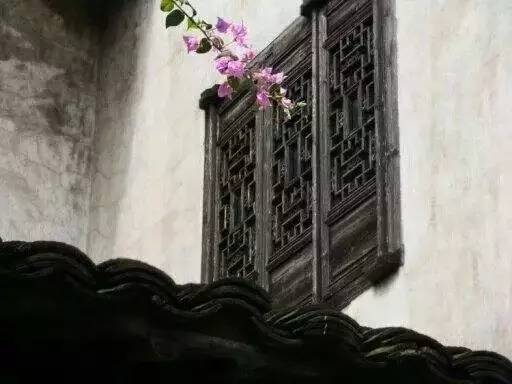 许我一场花开，还你一世繁华