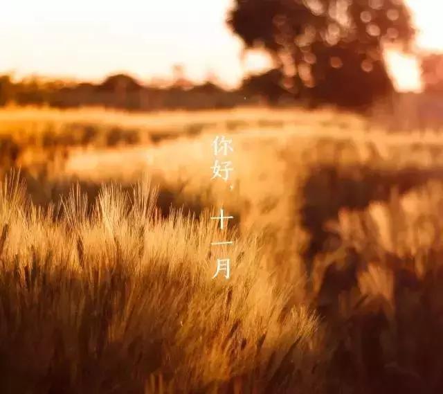 告别十月，十一月你好，莫负时光，加油