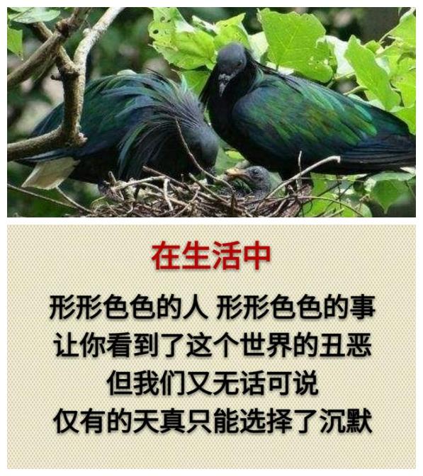 你累吗？（累就看看）
