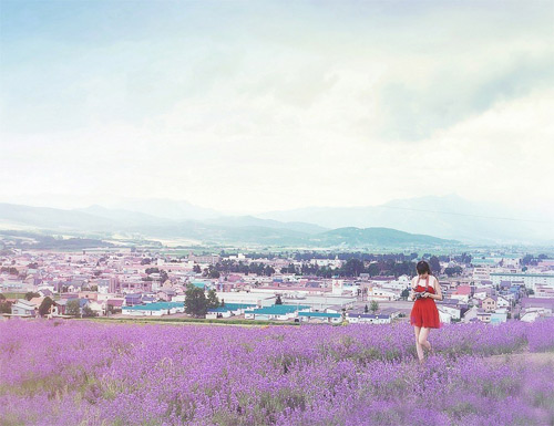 如果伤害到你,对不起,借过 如果伤害到你,对不起,借过