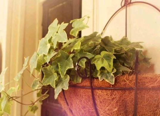 qq空间感悟人生的图片说说短语 qq空间感悟人生的图片说说短语