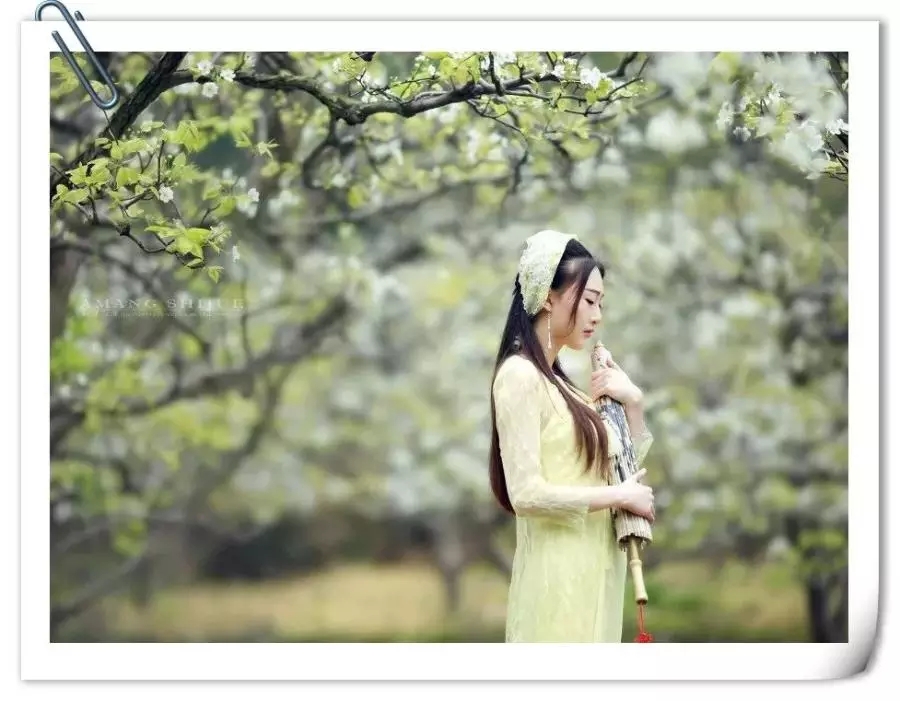 你惊艳了我的时光，却没有温柔我的岁月