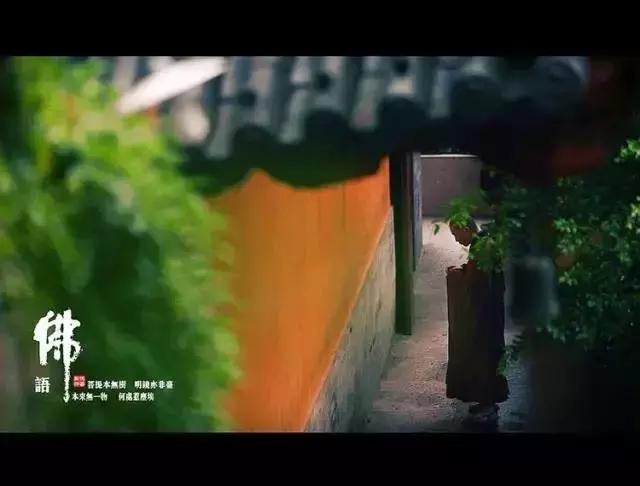 仓央嘉措的回声: 你的心,在污泥里开出一朵莲花 仓央嘉措的回声: 你的心,在污泥里开出一朵莲花