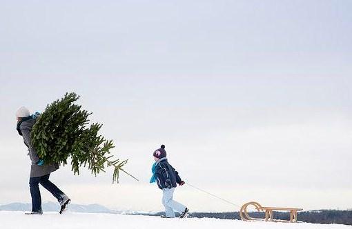 关于感悟人生的早安美图心语