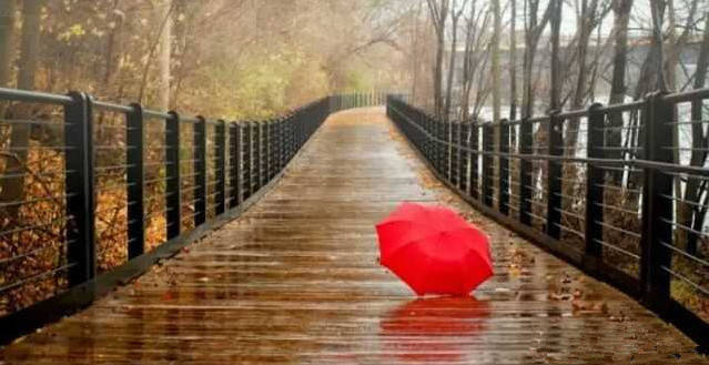 我是前世遗落在江南的雨