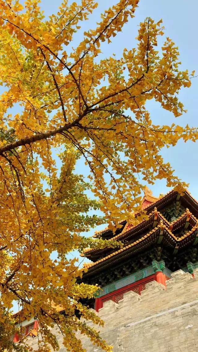 老舍：秋天一定要住北平