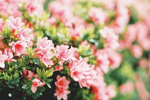 朋友圈最能治愈心灵的鸡汤语录 朋友圈最能治愈心灵的鸡汤语录